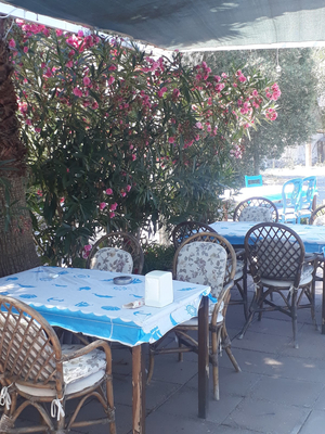 Boğazi̇çi̇ Dali̇ Restaurant