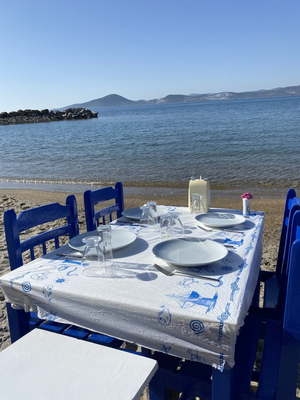 Boğaziçi Deniz Restaurant