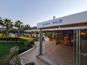 Gonca Balık Bodrum