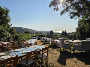 Li̇mon Gümüşlük Restaurant