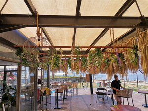 Palm Beach Restaurant & Bar