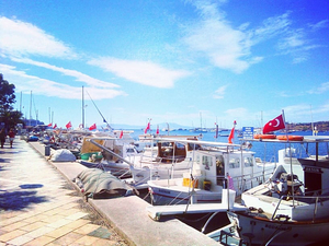 Şenlik Pansiyon