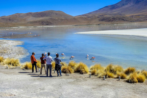 3-Day Salt Flats & Altiplano Tour to San Pedro de Atacama
