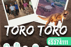 3-day tour: Toro Toro caves, dinosaur footprints, and Vergel canyon