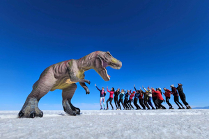 City of La Paz | 4-Day Uyuni Expedition to San Pedro Atacama