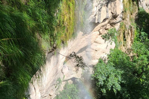 Dagstur /Amboro Nationalpark (nordsiden)