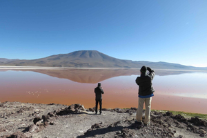 Von Uyuni: Privater Tagesausflug zur Laguna Colorada.