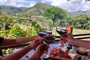 Guided Singani Wine and Ham Route in Tarija
