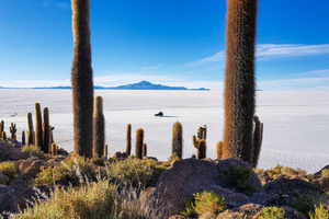 La Paz to Uyuni Salt Flats & Lagoons to San Pedro de Atacama