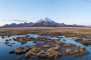 Sajama National Park in One Day with Private Service, All Inclusive