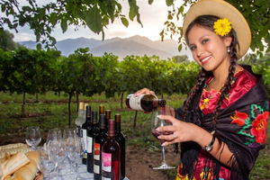Traditional Wine Route and Chapaco Culture in Méndez with Lunch - Tarija