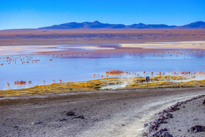 Uyuni Salt Flats & Colored Lagoons 3-Day Tour