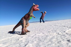 Uyuni Salt Flats Premium Tour with Sunset & Incahuasi