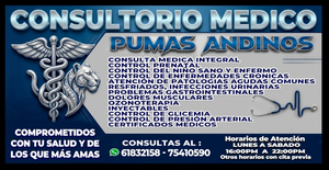 Consultorio Medico Pumas Andinos