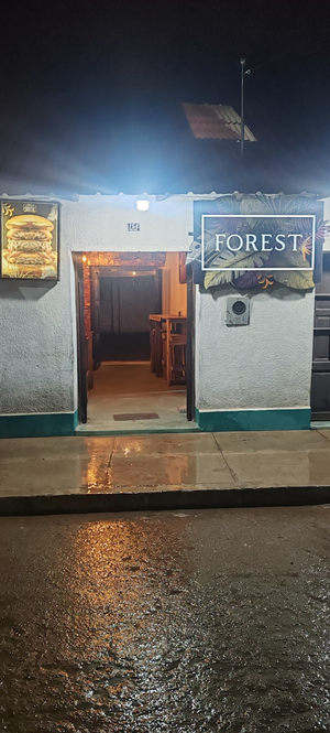 Forest.monteagudo
