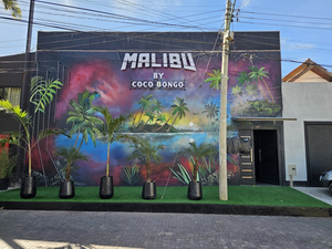 MALIBU club - by cocobongo