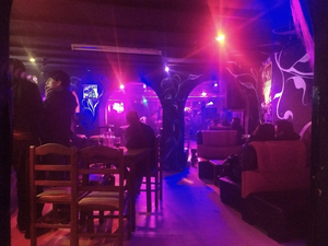 Rockodrilos PUB
