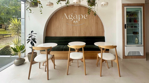 The Agape Wellness Experience