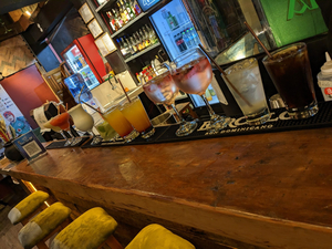 The Lucky Llama Irish Bar