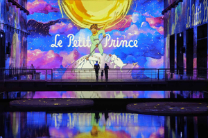 Bassins des Lumières – billet til Le Petit Prince