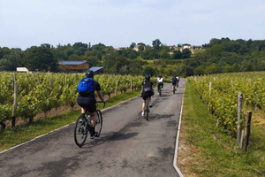 Bordeaux by Gravel Bike : Monumets, vineyards & wine tasting