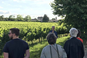 Bordeaux: Erkundung eines Bio-Familienweinguts mit Verkostung