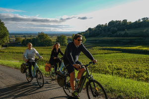 Bordeaux: St. Emilion Wein und E-Bike Tour mit Mittagessen