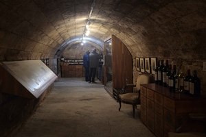 Bordeaux: Wine and Trade Museum Entry Ticket & Wine Tasting