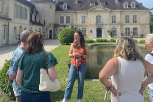 Bordeaux wine tour: 2 wineries & wine tastings (red & white)