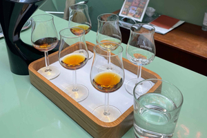 Cognac: Private Tour ab Bordeaux