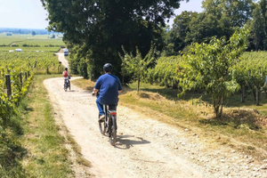 E-Bike-Tour von Bordeaux nach Saint-Émilion mit Mittagessen