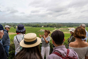 Von Bordeaux: Halbtagesausflug nach Saint-Emilion mit Eglise Monolithe