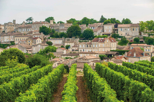 Heldagsudflugt til Saint-Emilion: Landsby, undergrund og slotte