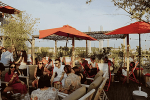 rooftop party - shasha sur le toit bordeaux