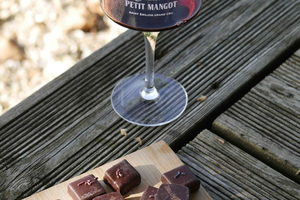Saint-Émilion: Wine and chocolate pairing in the heart of a winery's vineyards