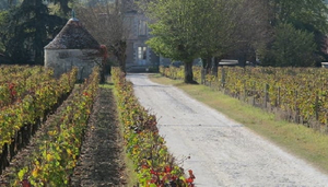 The Secret Garden of Bordeaux