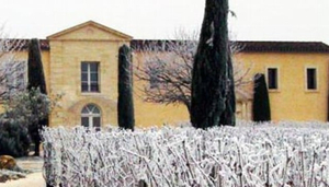 Château Cadet-Bon