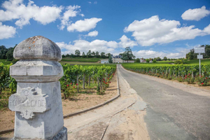 Full-Day St Emilion Wine Tasting Tour