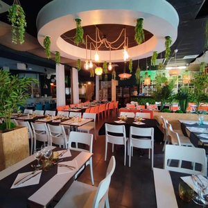 Le Two Much - Bar & Restaurant ambiance et groupe à Bordeaux