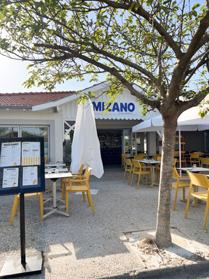 Mizano