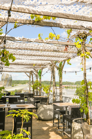 ROOFTOP | Shasha sur le Toit