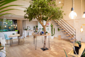 SPA Cénote plaisir, Institut de Massage et de Beauté