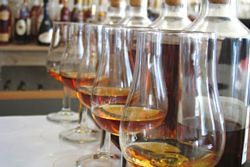 Cognac