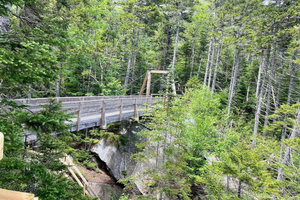 Boston Fall Day Trip to White Mountains, Lost River Gorge