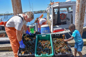 Kennebunkport Day Trip with Optional Lobster Tour