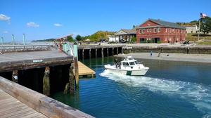Save the Harbor / Save the Bay