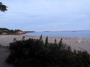 Singing Beach Club Inc