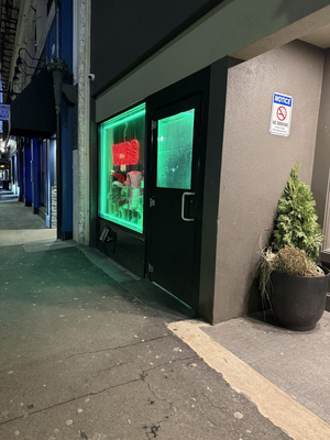 The Wig Shop