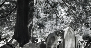 Requiem for Salem Walking Ghost Tour
