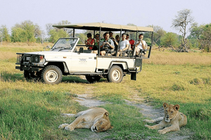 4 Day Private Tour From Lusaka - Zambia, Zimbabwe, Botswana